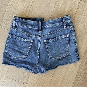 Aritzia Denim Shorts